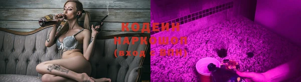 прущий лед Бородино