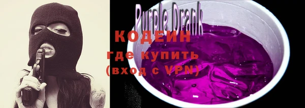 прущий лед Бородино