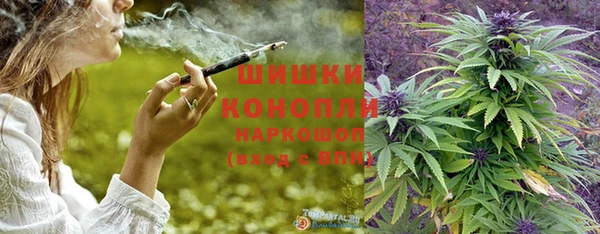 прущий лед Бородино