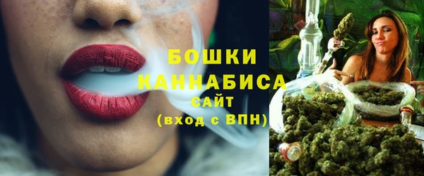 прущий лед Бородино