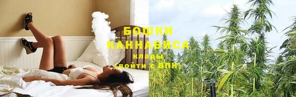 амф Верхний Тагил