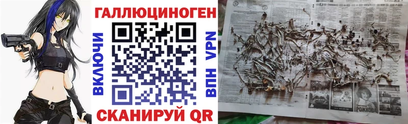 Псилоцибиновые грибы мухоморы  где можно купить   Катав-Ивановск 